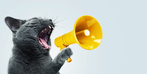 Funny grey cat screams with a yellow loudspeaker on a blue background, creative idea. Fun pet...