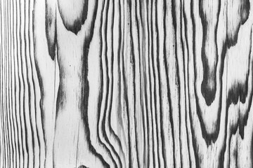 Light white grey wood surface with natural black charred burnt patterns design decorative decoration decor texture timber background