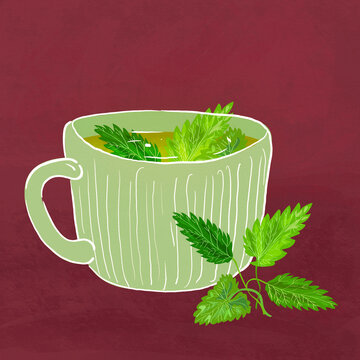 peruvian mint tea illustration
