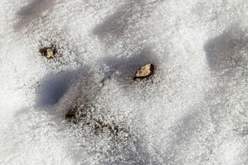 White snow-covered surface. Stones and wood planks covered with fluffy melting snow.
