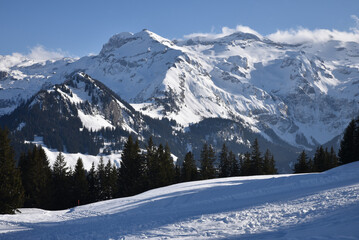 Fototapeta na wymiar Pics glacés des Alpes suisses