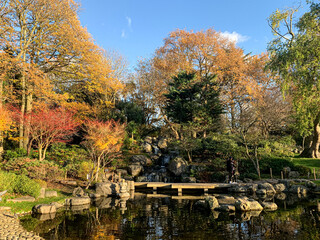 Autumn colours in Kyoto Gardens, Holland Park, London, England, UK. Kyoto japanese garden view at Holland Park in London. Autumn. Pond, stones and waterfall. Beautiful nature. Tranquility, idyllic pla