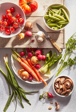 Farm to Table Vegetable Soup Preparation