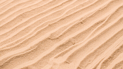 Fototapeta na wymiar Sand texture closeup. Sand backgound.