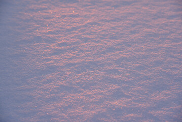 Pink snow winters in the light of the setting sun. Pink and blue winter fluffy snow in winter. A...