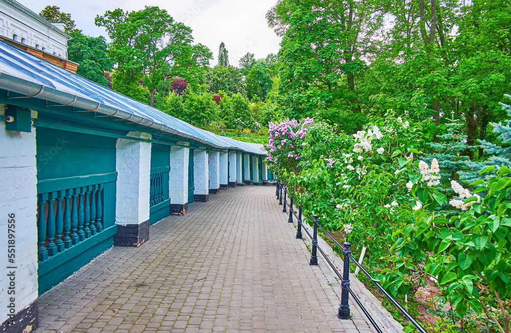 Wall mural The lilacs in garden of Kyiv Pechersk Lavra Cave Monastery, Ukraine