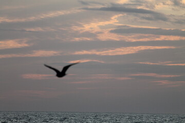 Sunset  on the sea.