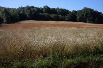 Walking trail between La ferte-sous-Jouarre et Orly-sur-Morin along the petit morin river - ...