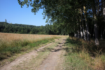 Walking trail between La ferte-sous-Jouarre et Orly-sur-Morin along the petit morin river - ...