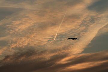 Sunset  on the sea.