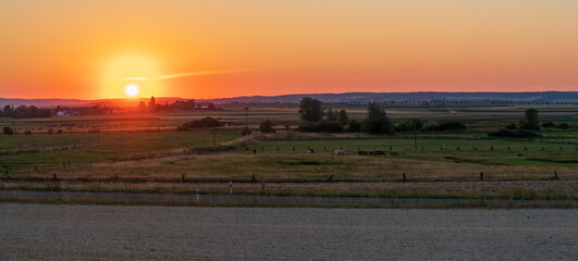 Bingenheimer Ried bei Sonnenuntergang