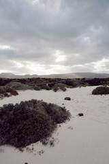 Beach on Lanzarote island, Canary Islands, Spain
