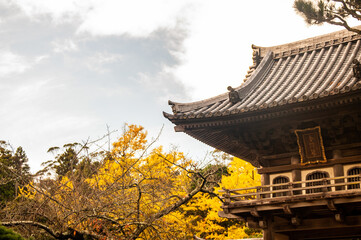 chinese temple in the morning