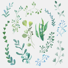 Big vector set of watercolor plants, wildflowers, branches, leaves on a white background