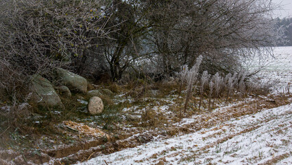 Winter landscape. Snow-covered corner of the forest, branches covered with frost, old large stones and the edge of the field in the snow.