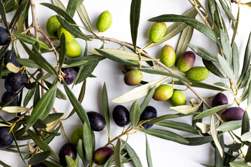olives and olive branches on a white background.