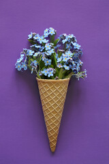 a bouquet of forget-me-nots in a waffle cone on a violet background like ice cream.
