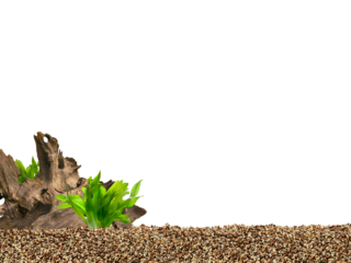 Aquarium background