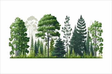 Green tree border. Forest foliage and coniferous plants. Flat cartoon illustration isolated on white background © Zaleman