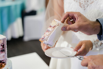 Newlyweds cut a piece of wedding cake