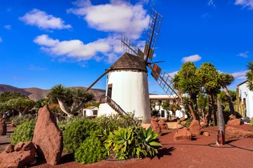 Gordijnen landmarks of Fuerteventura - traditional windmill in Antigua village. Canary islands of Spain © Freesurf
