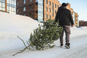 A man drags an used Christmas tree to the dumpster. After Christmas. Snowy winter. Outdoors....