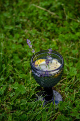 Big fancy blue glass filled with tea cocktail, lavender sprigs, ice and lemon on green grass in summer garden