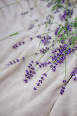Soft gray blanket in the garden with sprigs of lavender on picnic, background for cover or greeting card