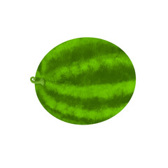 Watermelon illustration
