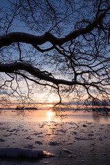 Scenic view to a frozen lake with silhouette of tree trunks with branches at sunset in winter.