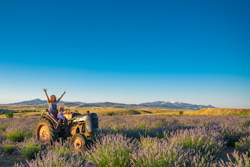 Woman on an old tractor in a lavender field. Gorgeous mountain landscape with lavender flowers....