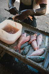Hands descaling fish in a seafood market in Nigril, Jamaica