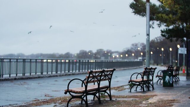 Grey rainy day. Empty wooden benches at the embankment, blurred water and seagulls flying above it. Cold autumn day. November in NYC, USA