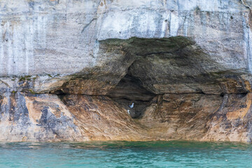 Two pigeons sitting in a rock crevasse on the edge of the lake