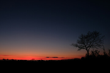 sunset in the forest