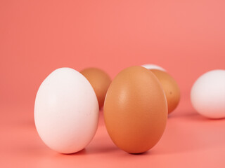 Chicken eggs on a pink background. White and brown egg on a pink background.