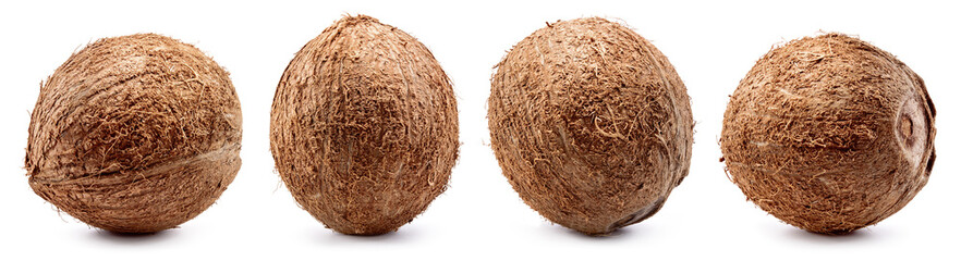 Coconut isolated. Coconuts on white background. Coconut set. Whole nut collection. Full depth of field.