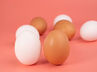 Chicken eggs on a pink background. White and brown egg on a pink background.