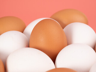 Chicken eggs on a pink background. White and brown egg on a pink background.