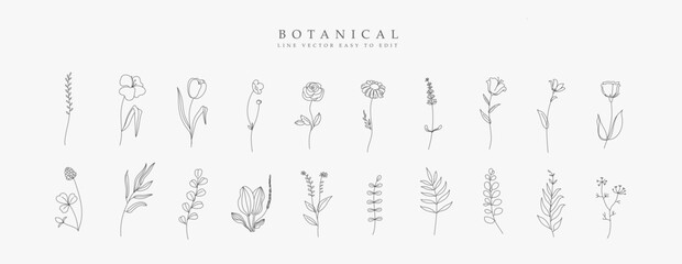 Botanical hand drawn vector set of plants element. Line collection of foliage, herbs, leaf branch, floral, flowers, roses, tulps, lily. Blossom illustration design for logo, wedding, invitation, decor