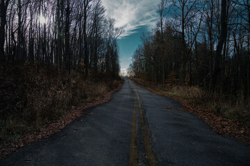 road in the woods
