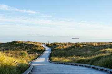 Wooden walkway leading through dunes to Papamoa ocean beach in morning light