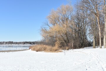 Peaceful View on Cold Day at Minnesota Park