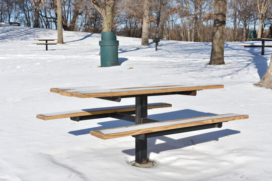 Snowy Picnic Table at Minnesota Park in December
