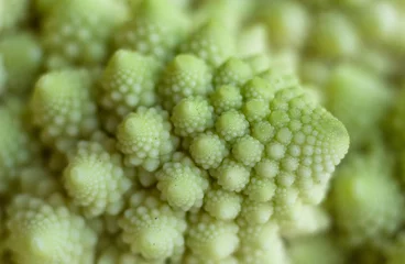 Fotobehang extreem close-up spiral pattern of cabbage romanesco broccoli © Yaroslav