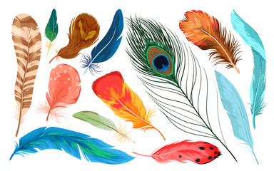 Colorful nature collection with beautiful bright plumage decoration of different tropical birds, plume feather from wing of exotic flying animals. Feathers set vector illustration © Natalia