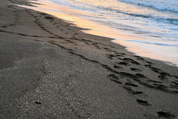 Sea Waves Breaking On A Sandy Beach