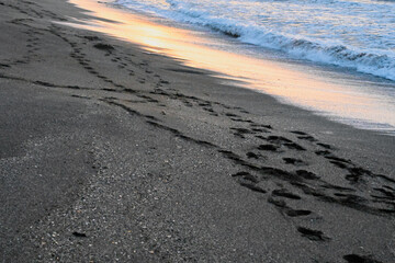 Sea Waves Breaking On A Sandy Beach
