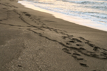 Sea Waves Breaking On A Sandy Beach