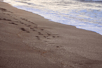 Sea Waves Breaking On A Sandy Beach